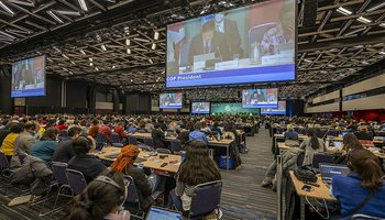 1024px-22dec19-COP15-Adoption-of-the-Kunming-Montreal-Framework-3221_(52572992079)