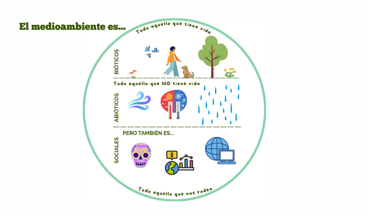 El medioambiente es... (2)